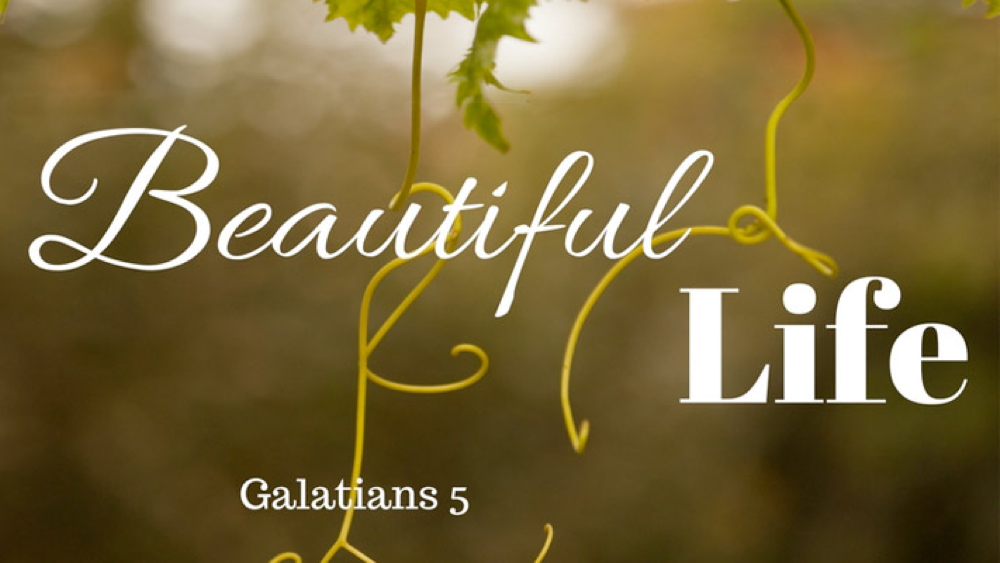 A Beautiful Life: God is in Control Image