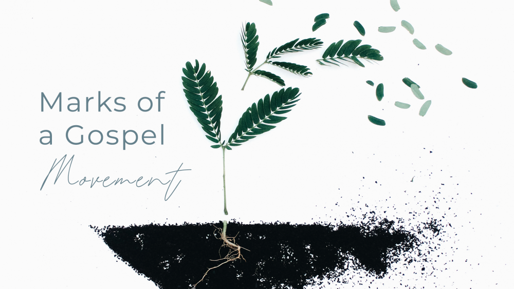 Marks of a Gospel Movement