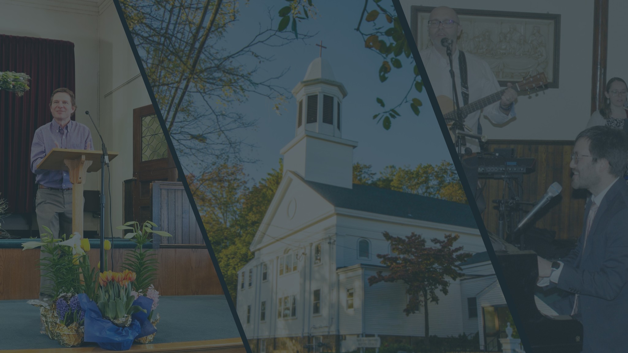 The Wheat and the Weeds Image